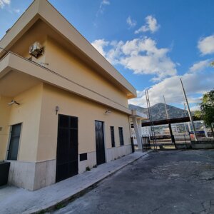 20241022_115951.jpeg 20241022_115951.jpeg