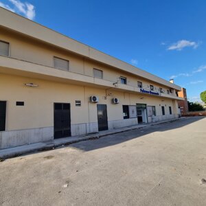 20241129_085625.jpeg 20241129_085625.jpeg