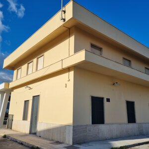 20241122_071500.jpeg 20241122_071500.jpeg