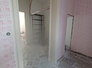 505540727_10232029297208412_8374062004647246651_n.jpeg 505540727_10232029297208412_8374062004647246651_n.jpeg