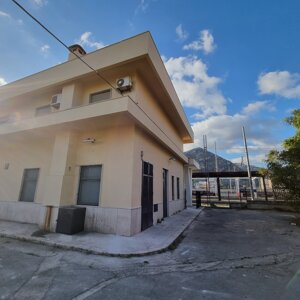 20241122_071236.jpeg 20241122_071236.jpeg