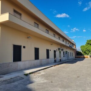 20241129_085646.jpeg 20241129_085646.jpeg