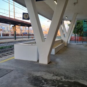 20241021_133955.jpeg 20241021_133955.jpeg