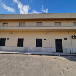 20241122_071521.jpeg 20241122_071521.jpeg