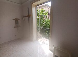 505930071_10232029300208487_2228441098695686619_n.jpeg 505930071_10232029300208487_2228441098695686619_n.jpeg