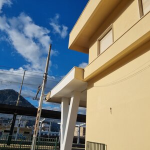 20241129_085559.jpeg 20241129_085559.jpeg