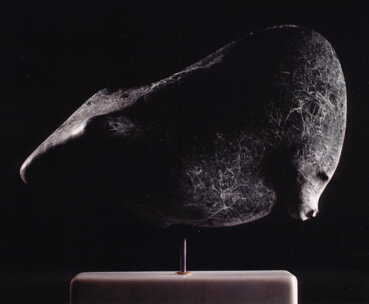 197 b.jpeg 197 b.jpeg