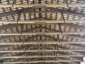 img_1142.jpeg