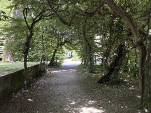 img_1150.jpeg