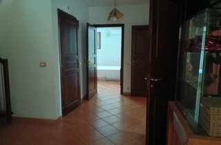 ingresso