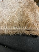 coppia-di-poltrone-sedie-a-farfalla-tipo-tripoline-vintage
