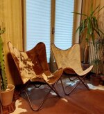coppia-di-poltrone-sedie-a-farfalla-tipo-tripoline-vintage