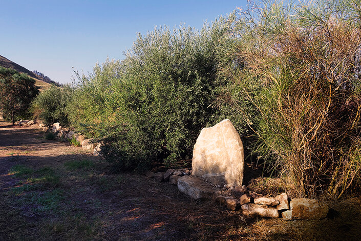 giardino_027_dsc7759 2.jpeg