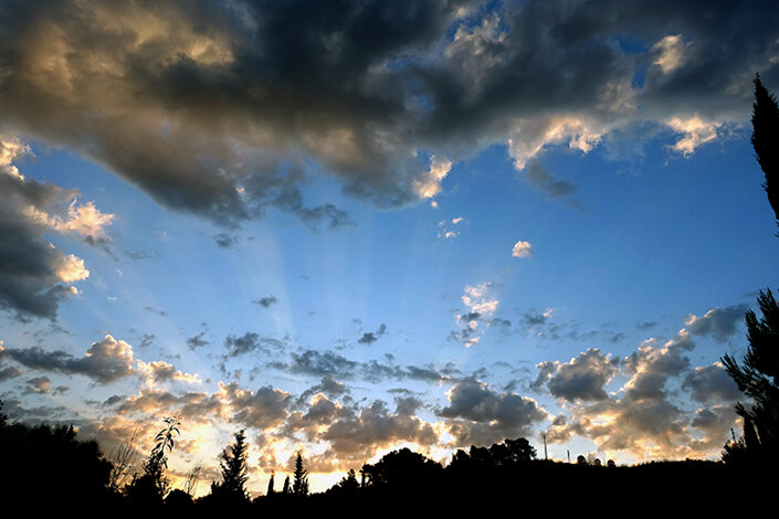 giardino_028_dsc7802 2.jpeg