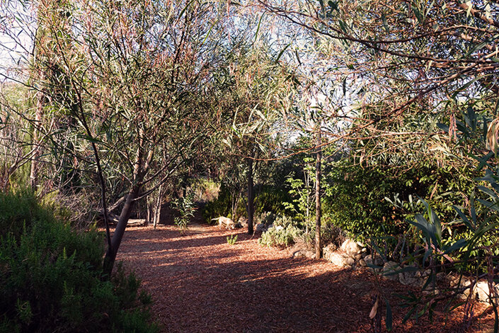 giardino_015_dsc7620 2.jpeg