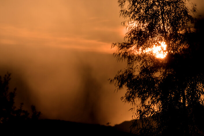 giardino_030dsc_6624 2.jpeg