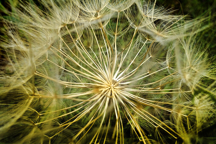 giardino_026_dsc5123 2.jpeg