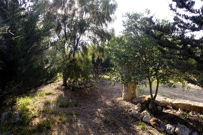 giardino_007_dsc7472 2.jpeg