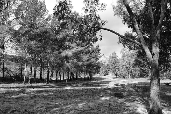butera_022_dsc2923.jpeg