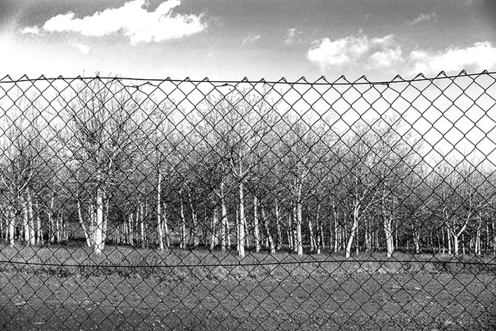 butera_004_dsc1720 2.jpeg