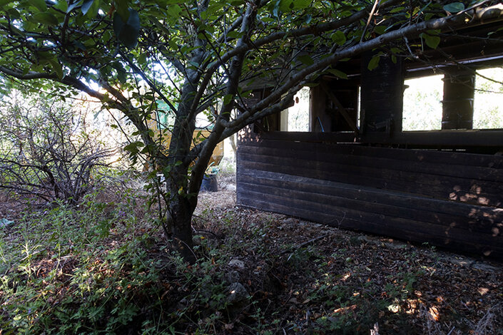 giardino_017_dsc7667 2.jpeg