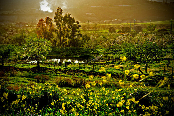 giardino_040il giardino delle belle.jpeg
