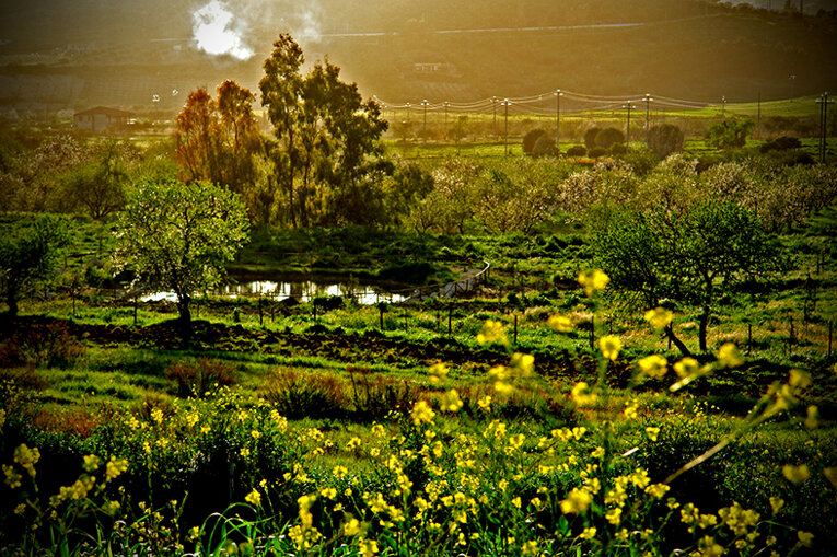 giardino_040il giardino delle belle.jpeg