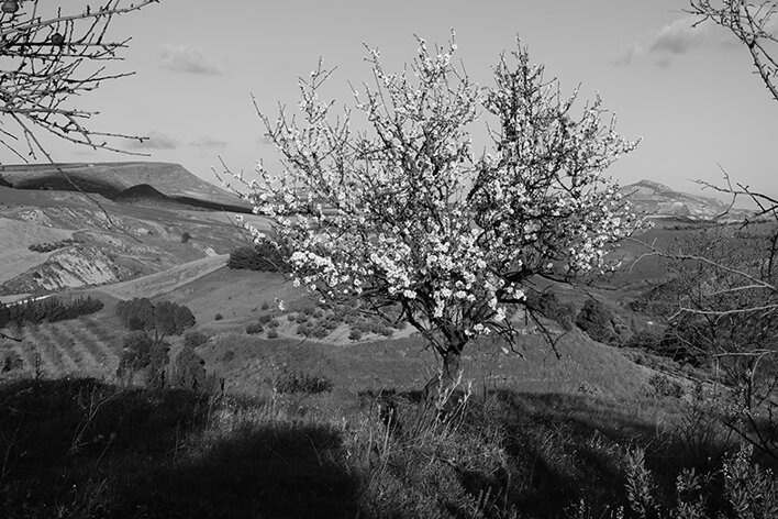 butera_030_dsc2231.jpeg