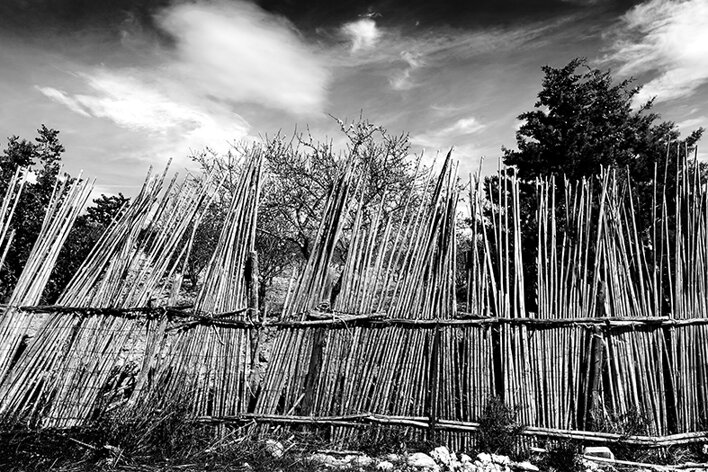 butera_008_dsc2783 2.jpeg