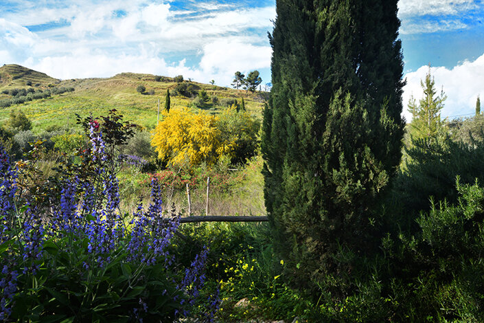 giardino_031dsc_6653 2.jpeg