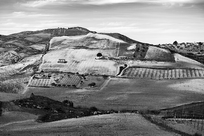 butera_027_dsc2742 2.jpeg
