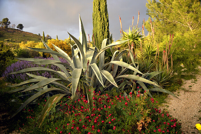 giardino_008dsc_6694 2.jpeg