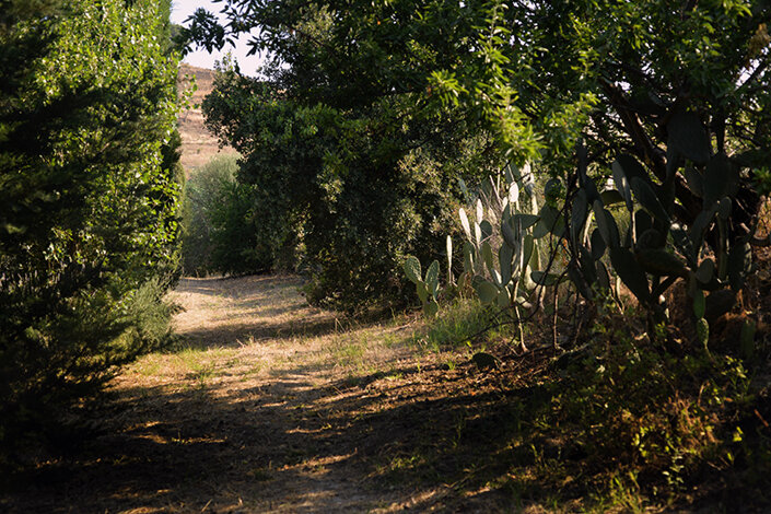 giardino_038dsc_7034 2.jpeg