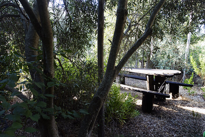 giardino_019_dsc7668 2.jpeg