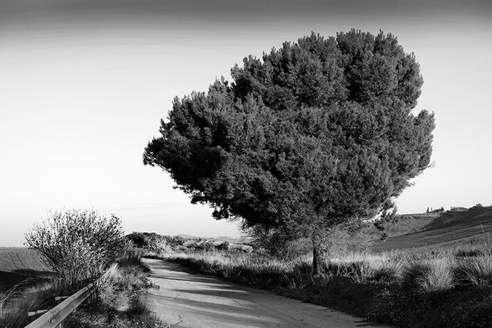 butera_014_dsc2704 2.jpeg