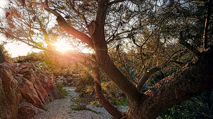 giardino_044img_20250211_171146~2 2.jpeg