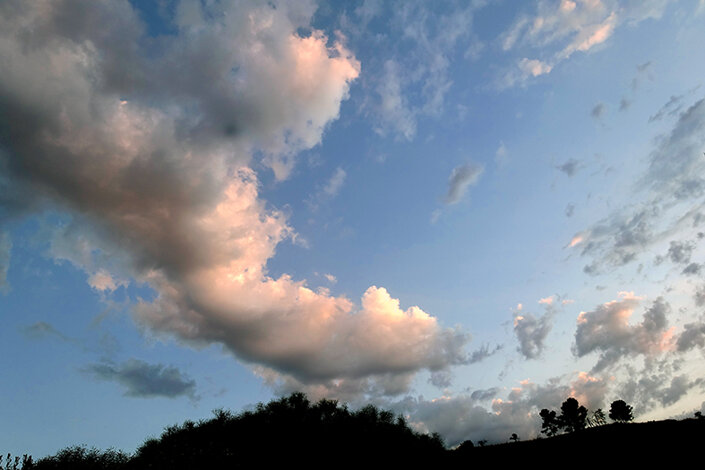 giardino_024_dsc7776 2.jpeg