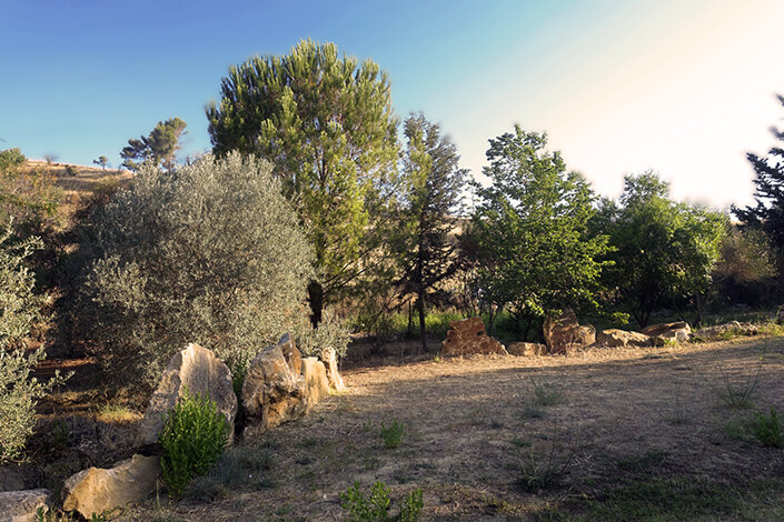 giardino_012_dsc7595 2.jpeg