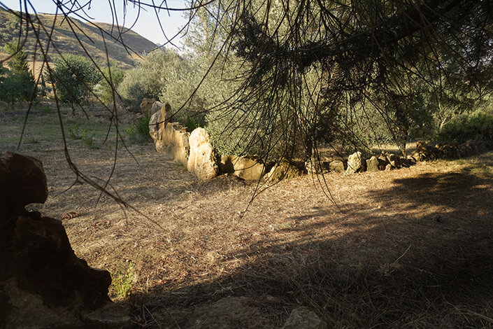 giardino_010_dsc7570 2.jpeg