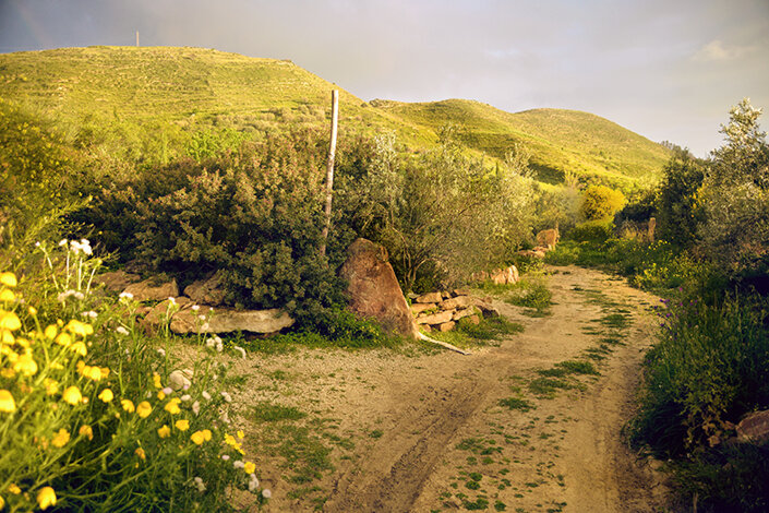 giardino_034dsc_6695 2.jpeg