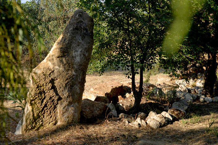 giardino_036dsc_6976 2.jpeg