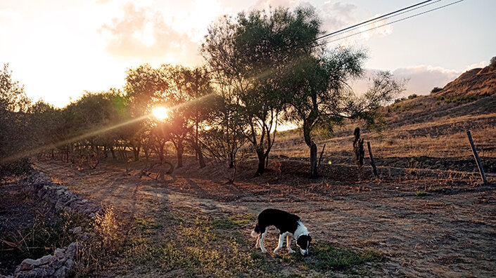 giardino_042img_20240914_185105 2.jpeg