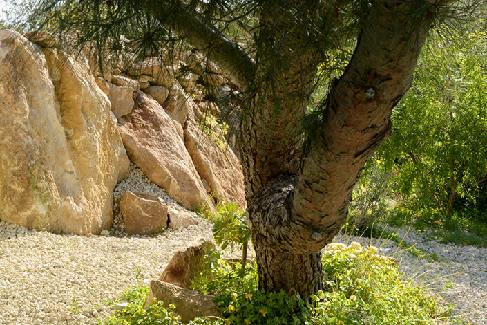 giardino_032dsc_6658 2.jpeg