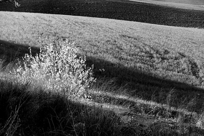 butera_006_dsc2580 2.jpeg