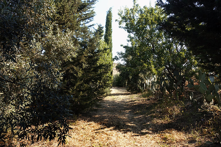 giardino_009_dsc7493 2.jpeg