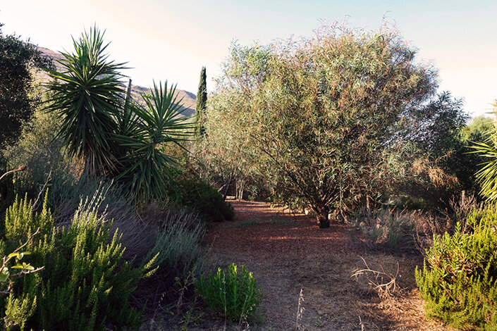 giardino_013_dsc7609 2.jpeg