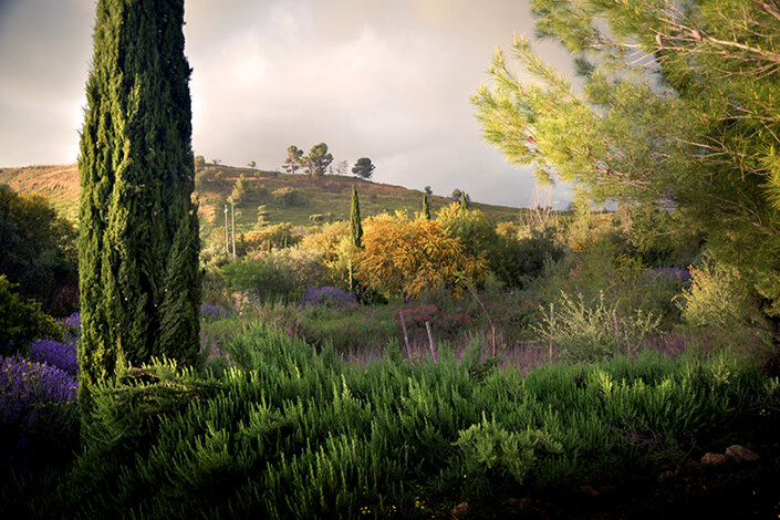 giardino_035dsc_6702 2.jpeg