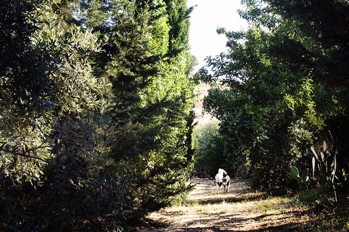 giardino_023_dsc7739 2.jpeg