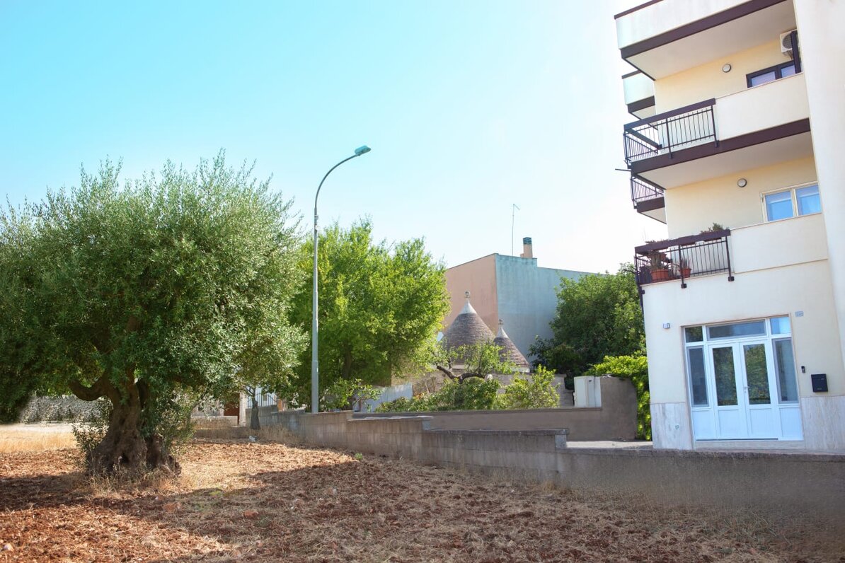 img-20250809-wa0010.jpeg img-20250809-wa0010.jpeg