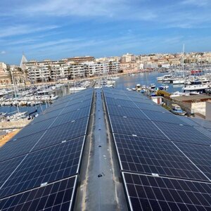 immagine whatsapp 2025-06-03 ore 00.02.03_4eac7403.jpeg